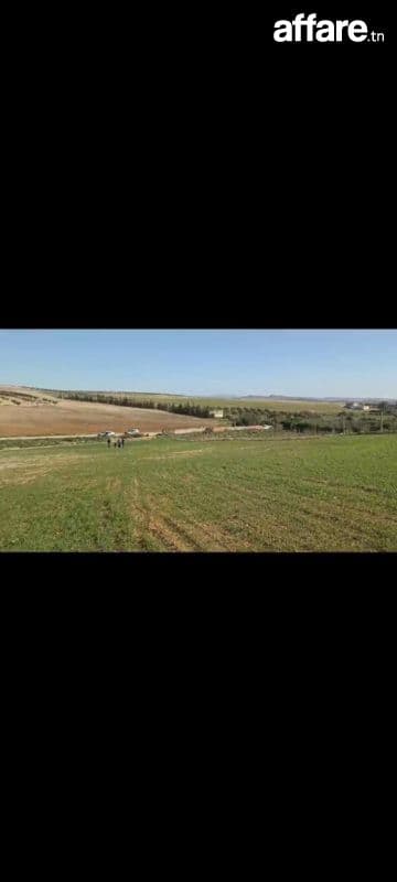 5 hectares excellent terrain agricole