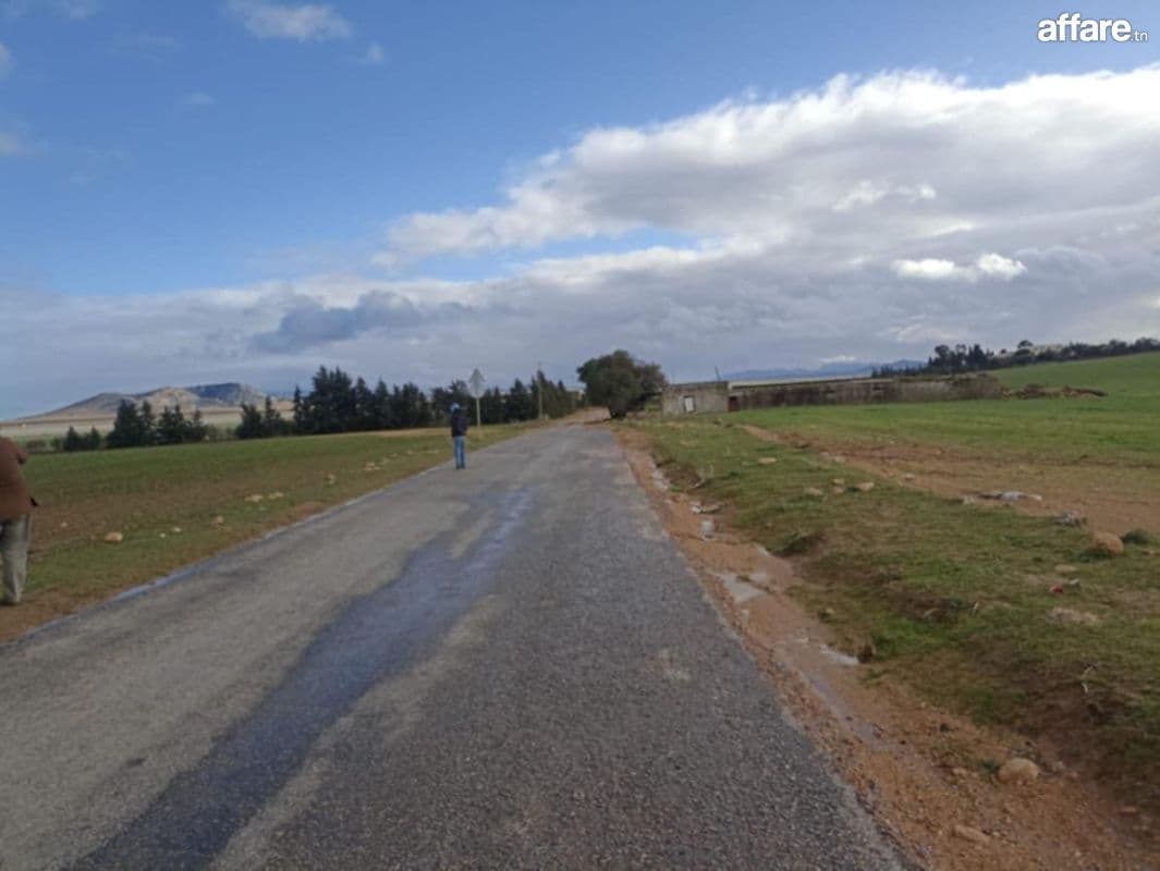 30 hectares propices a tous les arbres fruitiers