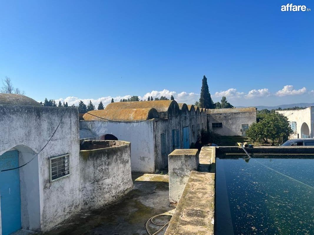 à vendre à soliman 