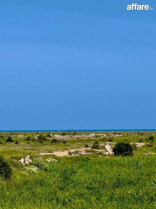Terrain à vendre