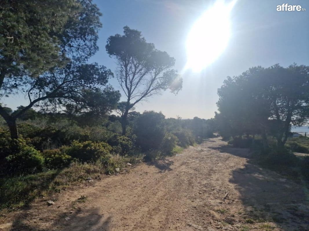 Terrain à Gammarth – El Marsa