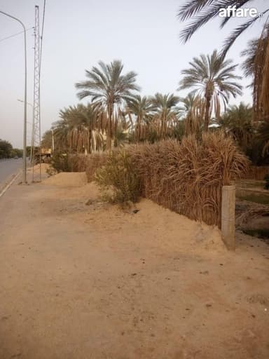 Un terrain de 1000 m² à TOZEUR à vendre 25400822