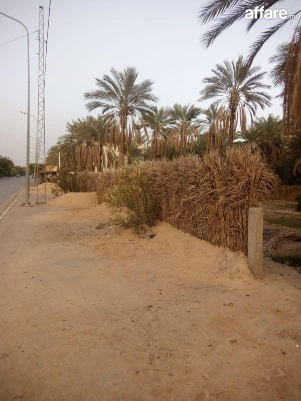 Un terrain de 1000 m² à TOZEUR à vendre 25400822