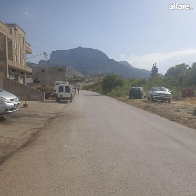 Une luxueuse villa et un entrepôt zag paradise