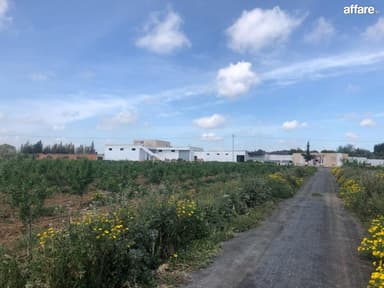  Ferme 10 hectares bir mcherga