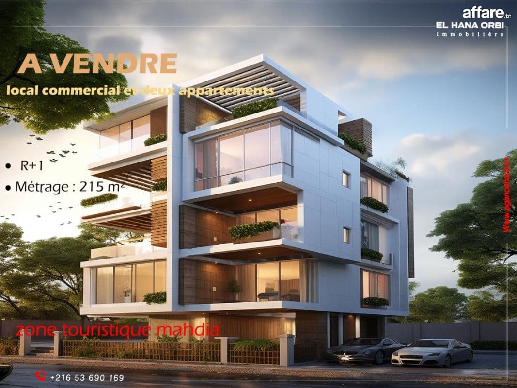 à vendre local commercial et deux appartement 
