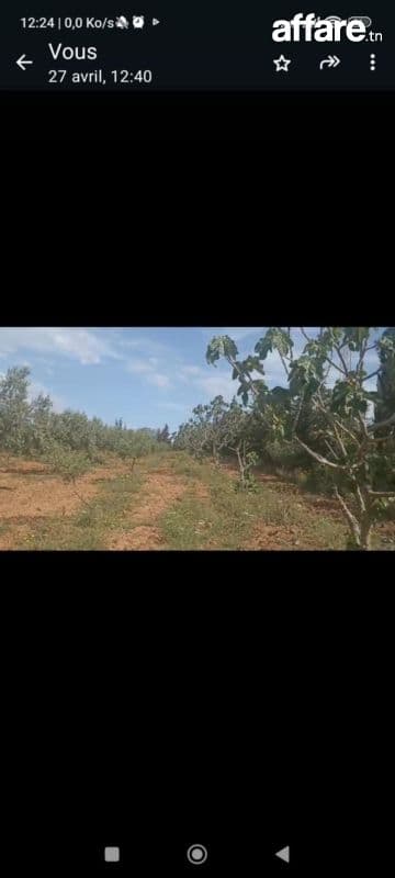  Une belle petite ferme de 1 hectare