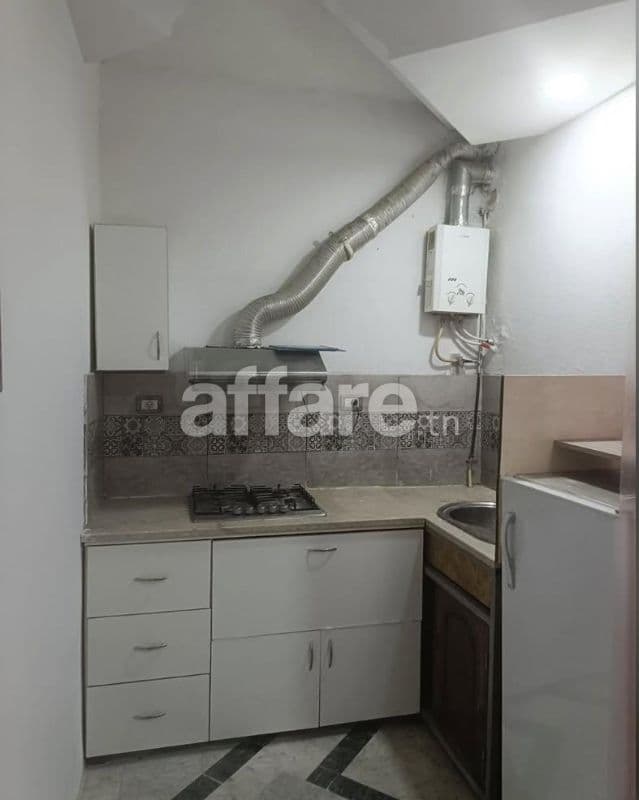 À Louer Appartement S+1 Meublé à France Ville El Omrane