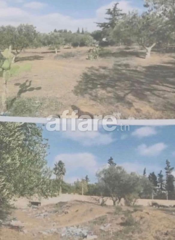 Terrain à vendre à Hammamet