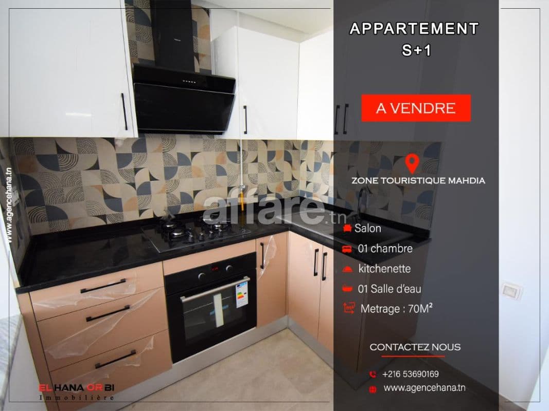 À vendre s+1 luxe à mahdia