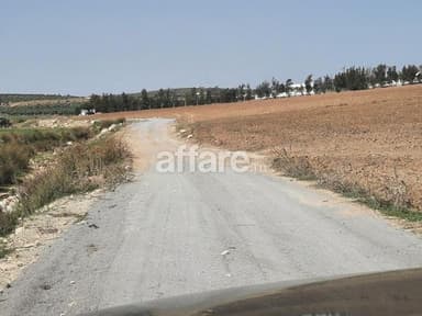 DES LOTS AGRICOLES