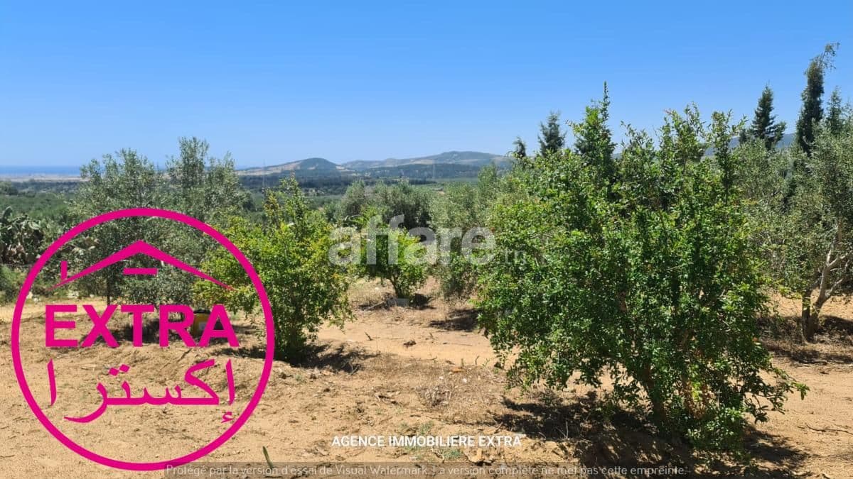 Campagne avec vue mer à vendre à El Haouaria de Nabeul