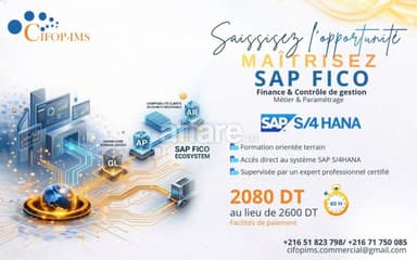 Formation SAP FICO
