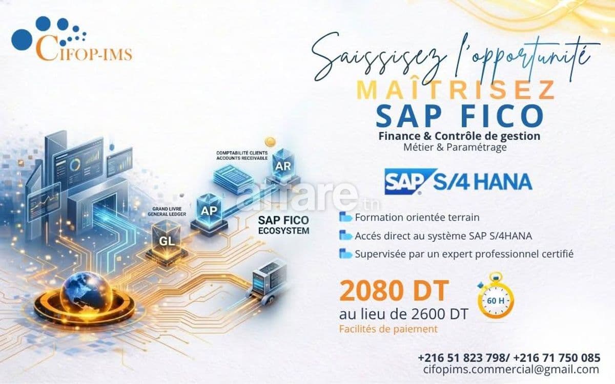 Formation SAP FICO