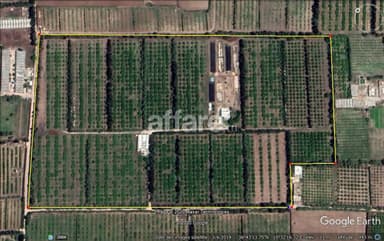 Ferme Agricole de 11 hectares à Soliman
