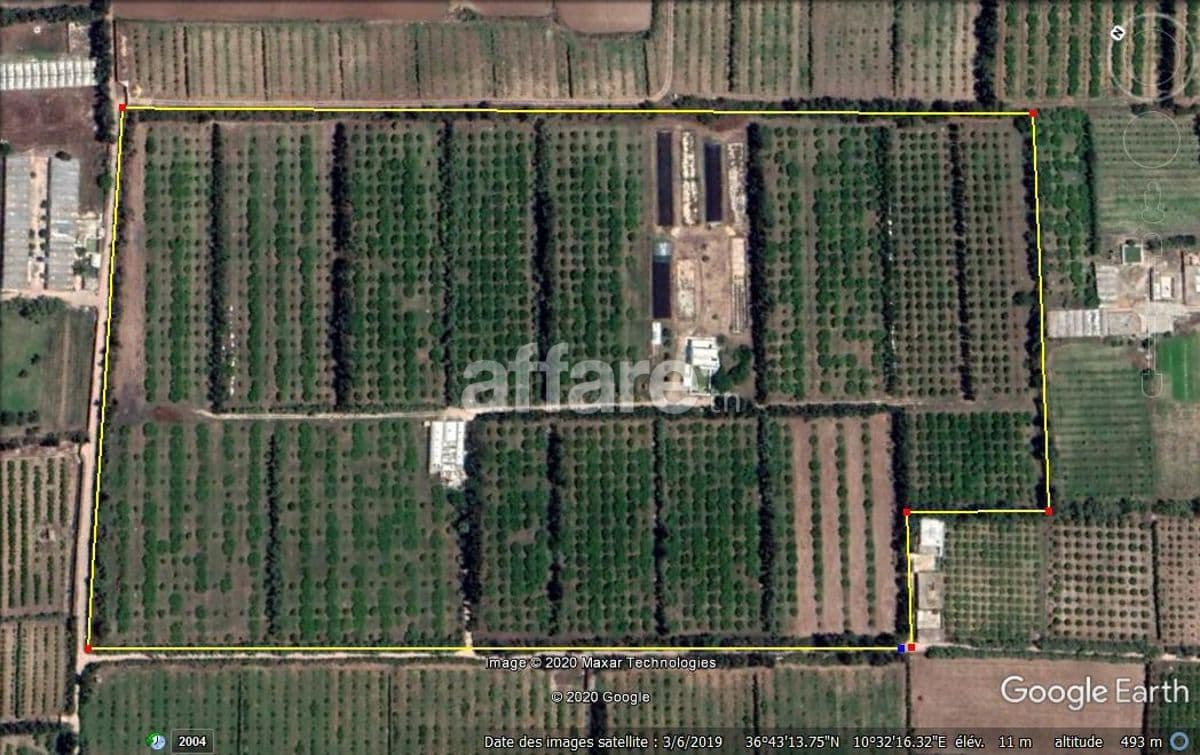 Ferme Agricole de 11 hectares à Soliman