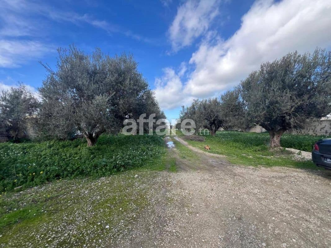 À vendre à sidi younes