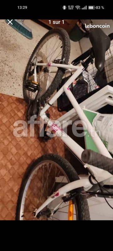 Velo Rockrider five zero 