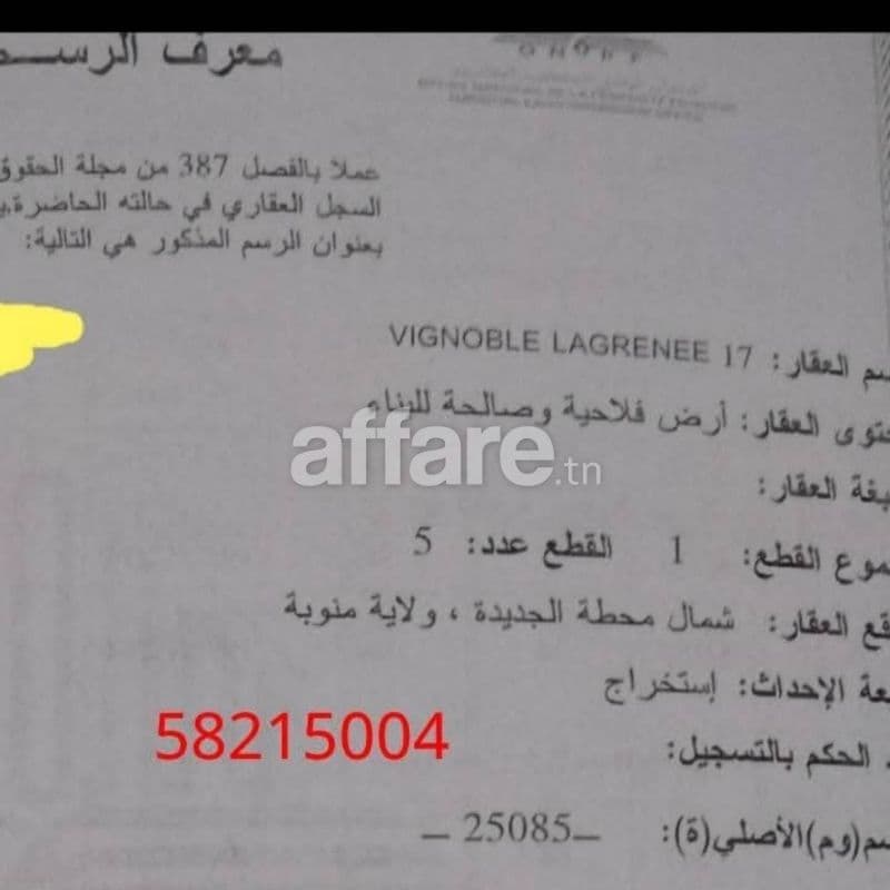 نبيع. ولآ. نبدل. 