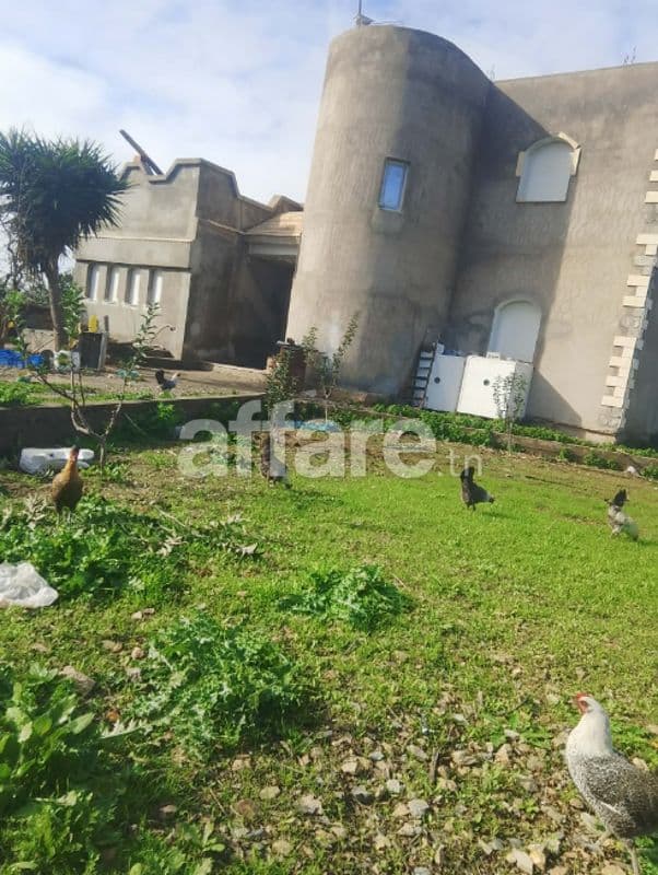 Ferme agricole titrée à Jdeida