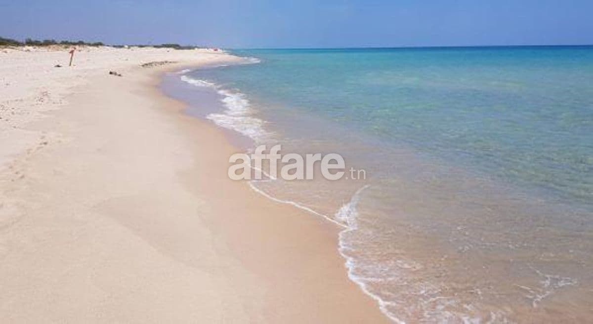 Maamoura Plage vend 1000 m² pieds dans l'eau