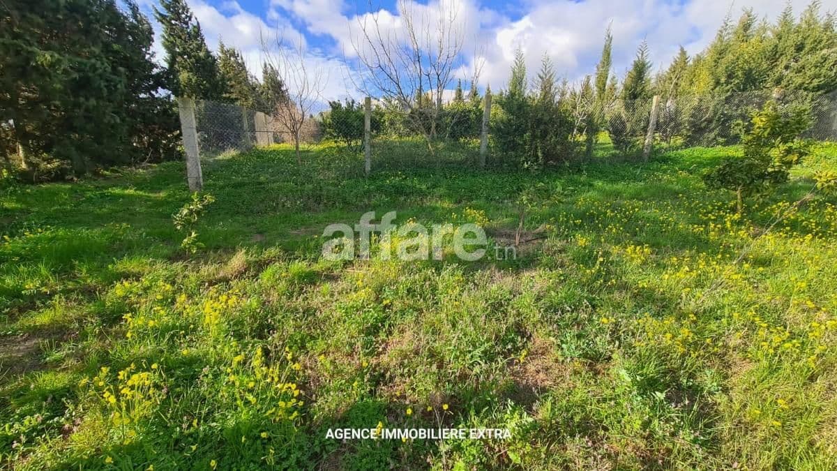 À Vendre Magnifique Campagne à Ghardeya Nabeul
