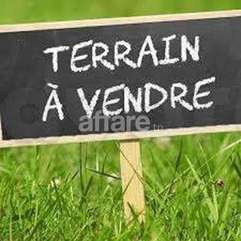 A vendre terrain 224m² à AFH Mrezga Cité El Wafa