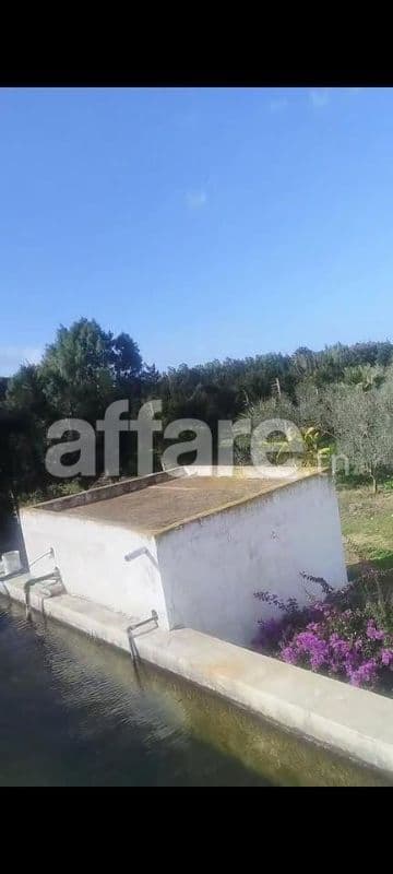 À VENDRE SUPERBE ORANGERAIE À SOLIMAN