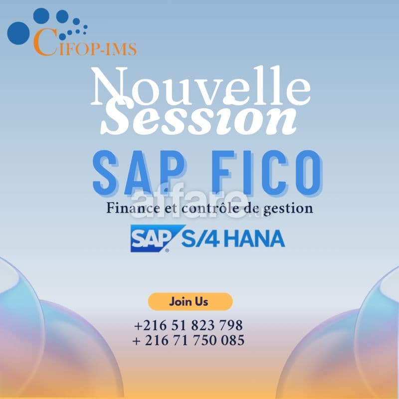 Formation SAP FICO S 4HANA