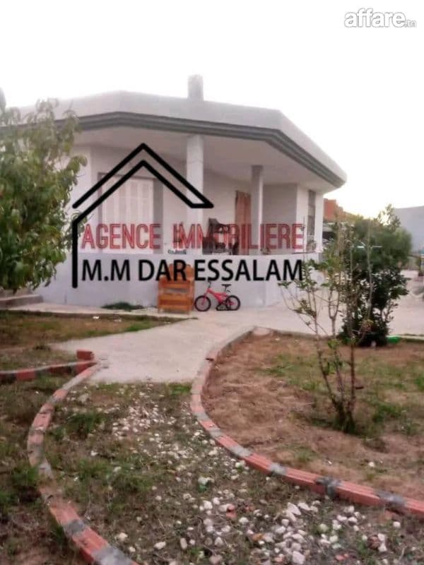 villa avec un grand jardin