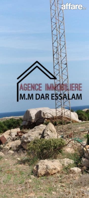 terrain près de la mer 