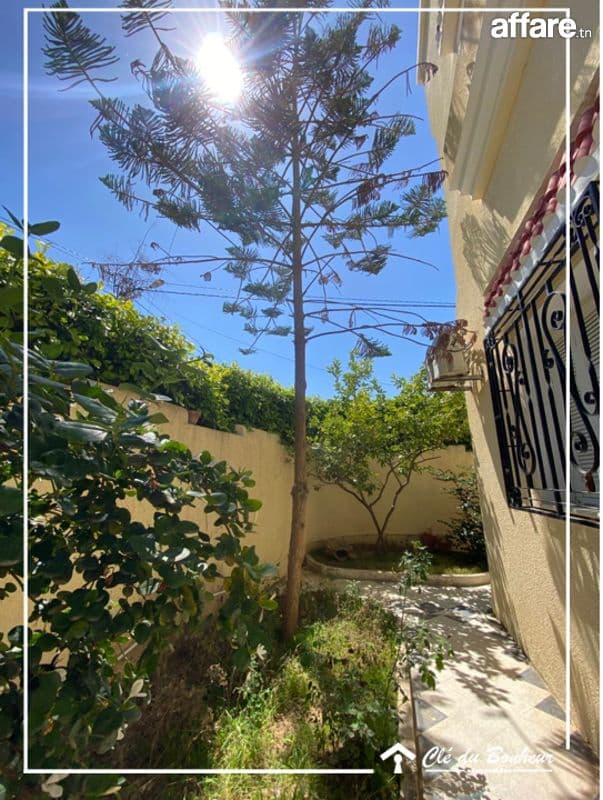 à vendre à sidi sofienne 