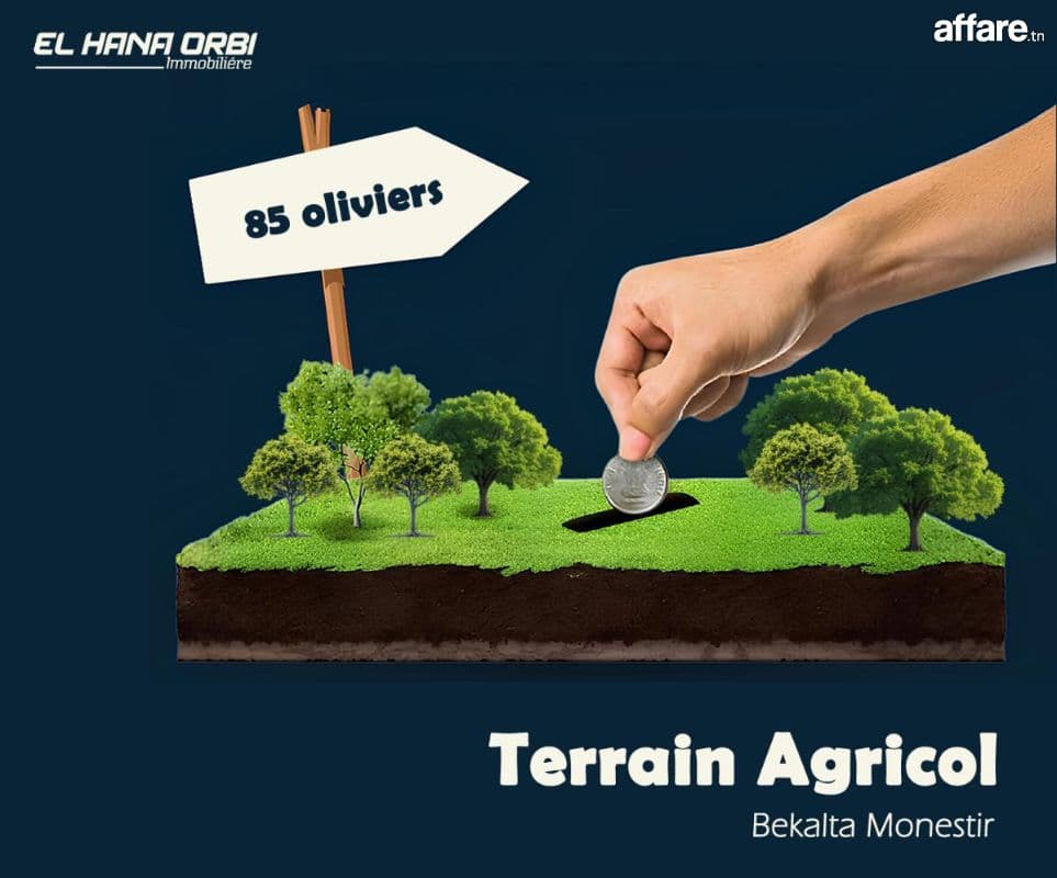 Terrain Agricole à Vendre à bekalta Monestir