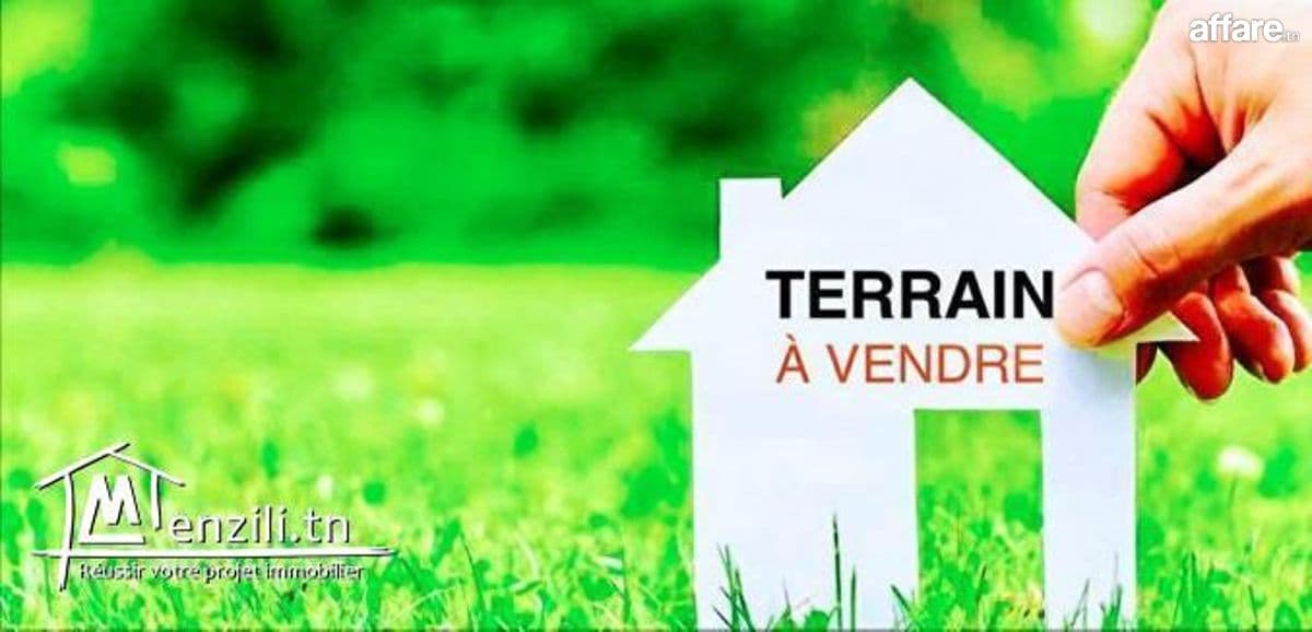 TERRAIN TITRE FONCIER 