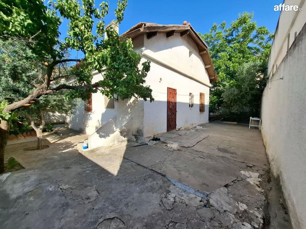 À vendre à Ben Arous : Maison ancienne avec jardin sur terra