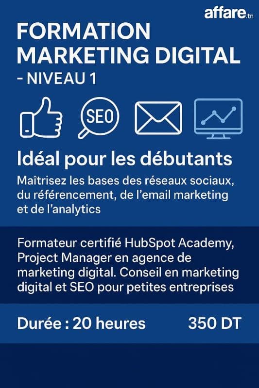 Formation Marketing Digital