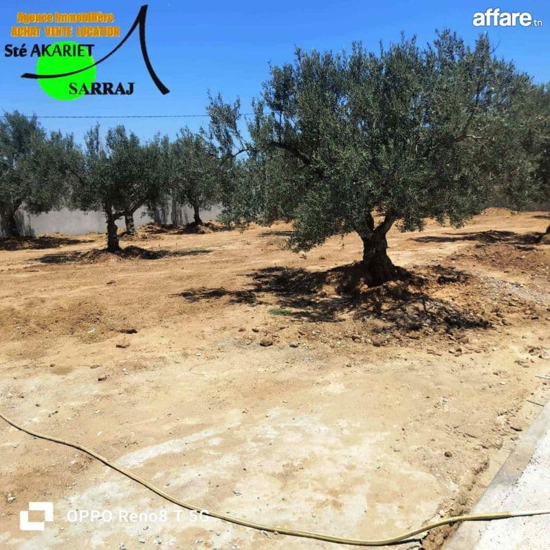 Terrain #Clôturé [#800m²] Sur #L'autoroute #kalaa Seghira 