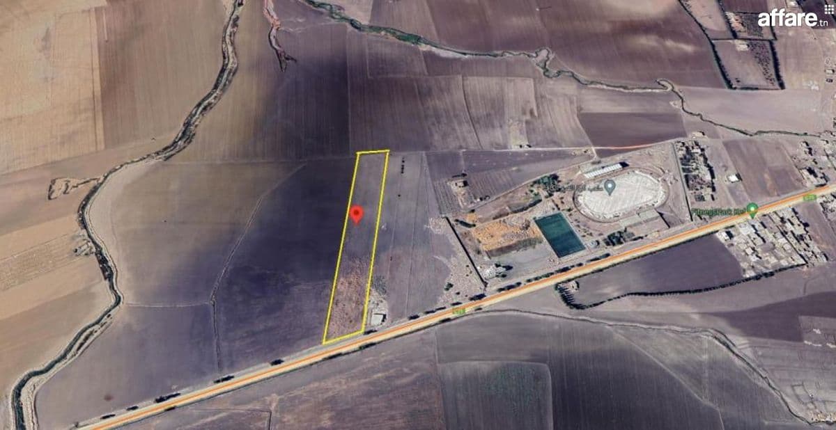 À vendre : Terrain agricole de 2 hectares à El Kef – Route d