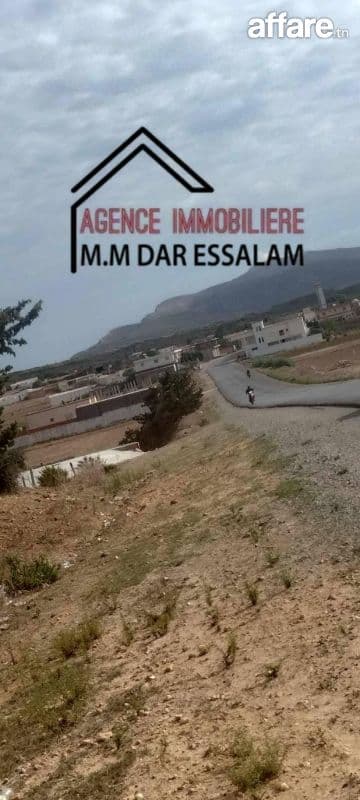 terrin à menzel salem