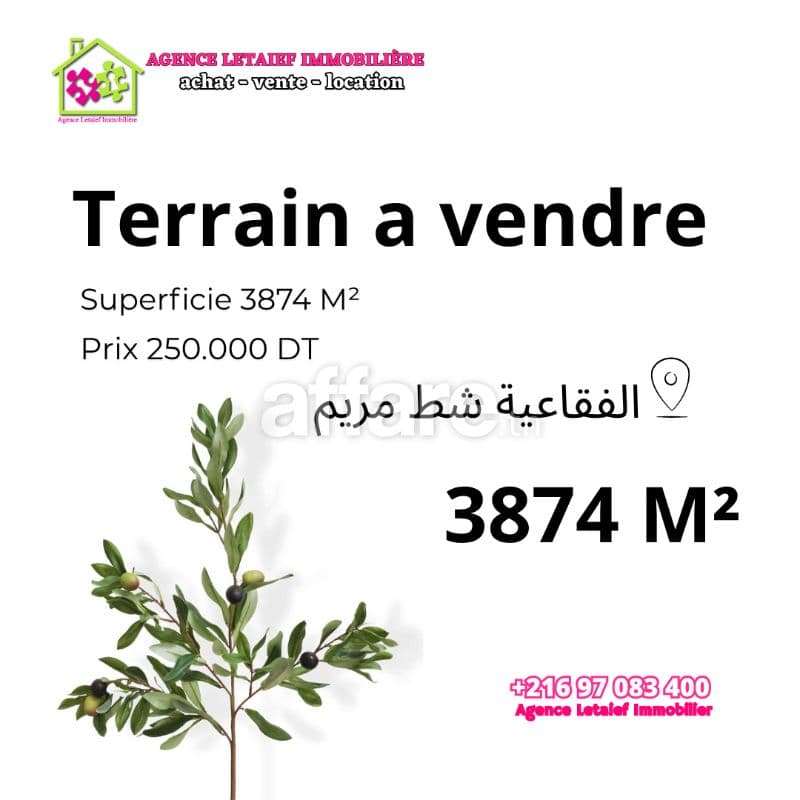 Terrain de 3800m² a foukaia