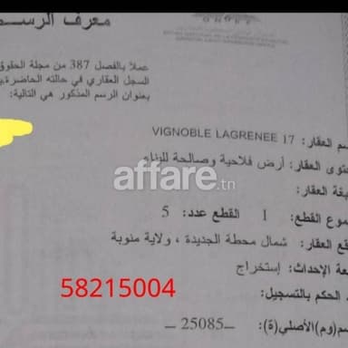 لي من يرغب ويساعد العرض 