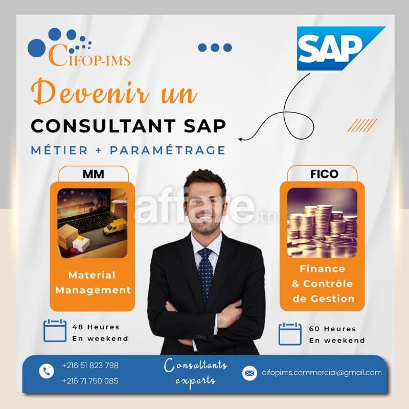 Formation SAP S 4HANA FICO MM-SD