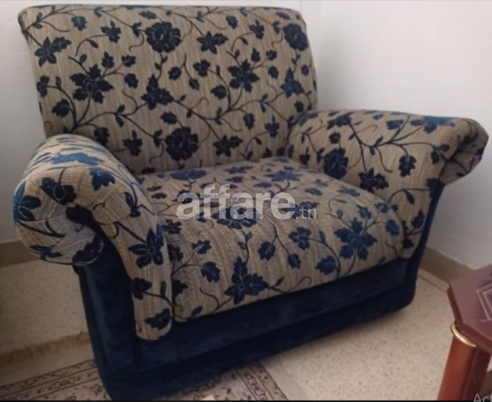 A vendre un fauteuil