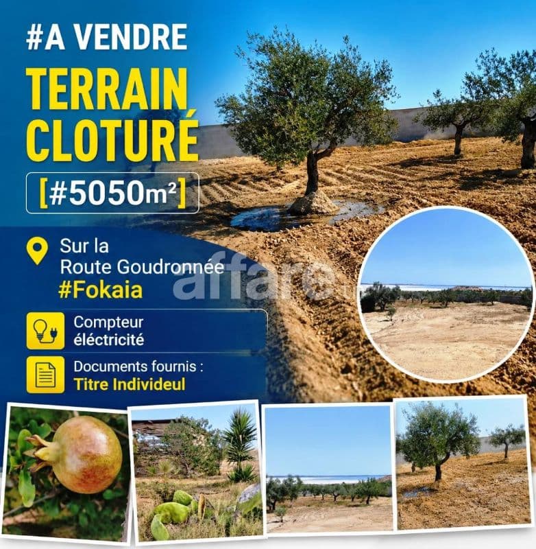 Terrain Cloturé 5050m² Sur la Route Goudronnée Fokaia