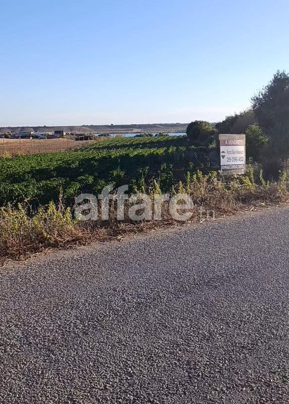 Un terrain Agricole de 5000m² à 5 minutes de la ville