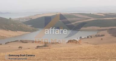 Terrain agricole 12 hectares titre foncier
