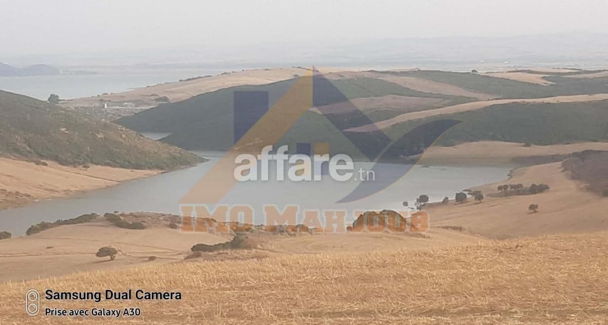 Terrain agricole 12 hectares titre foncier