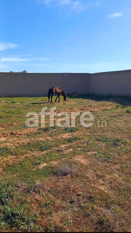 PRIX FORTEMENT NÉGOCIABLE Très agréable terrain à Hammamet
