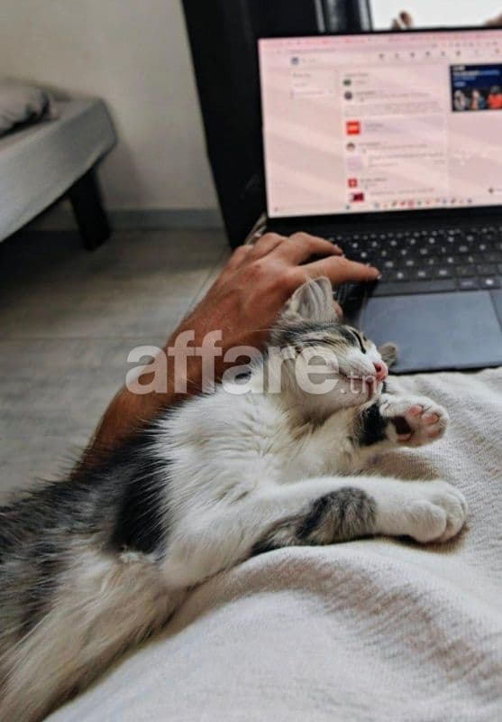 Lucy cherche une famille à La Marsa