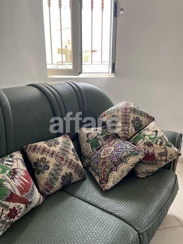 Coussins décoratifs vendus en lot